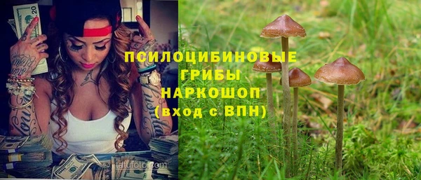 МДПВ Кулебаки