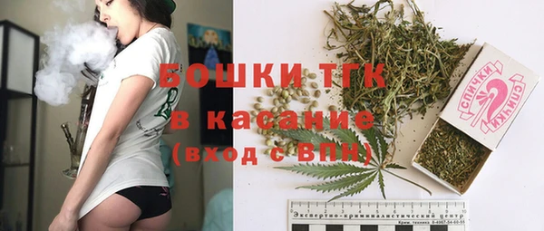 мдпв Кукмор