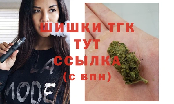 мдпв Кукмор