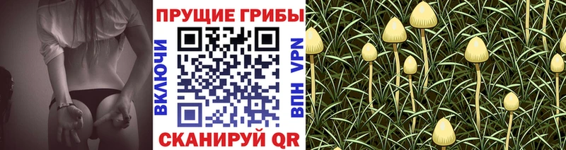 маркетплейс формула  Салехард  Псилоцибиновые грибы Psilocybe  купить закладку 